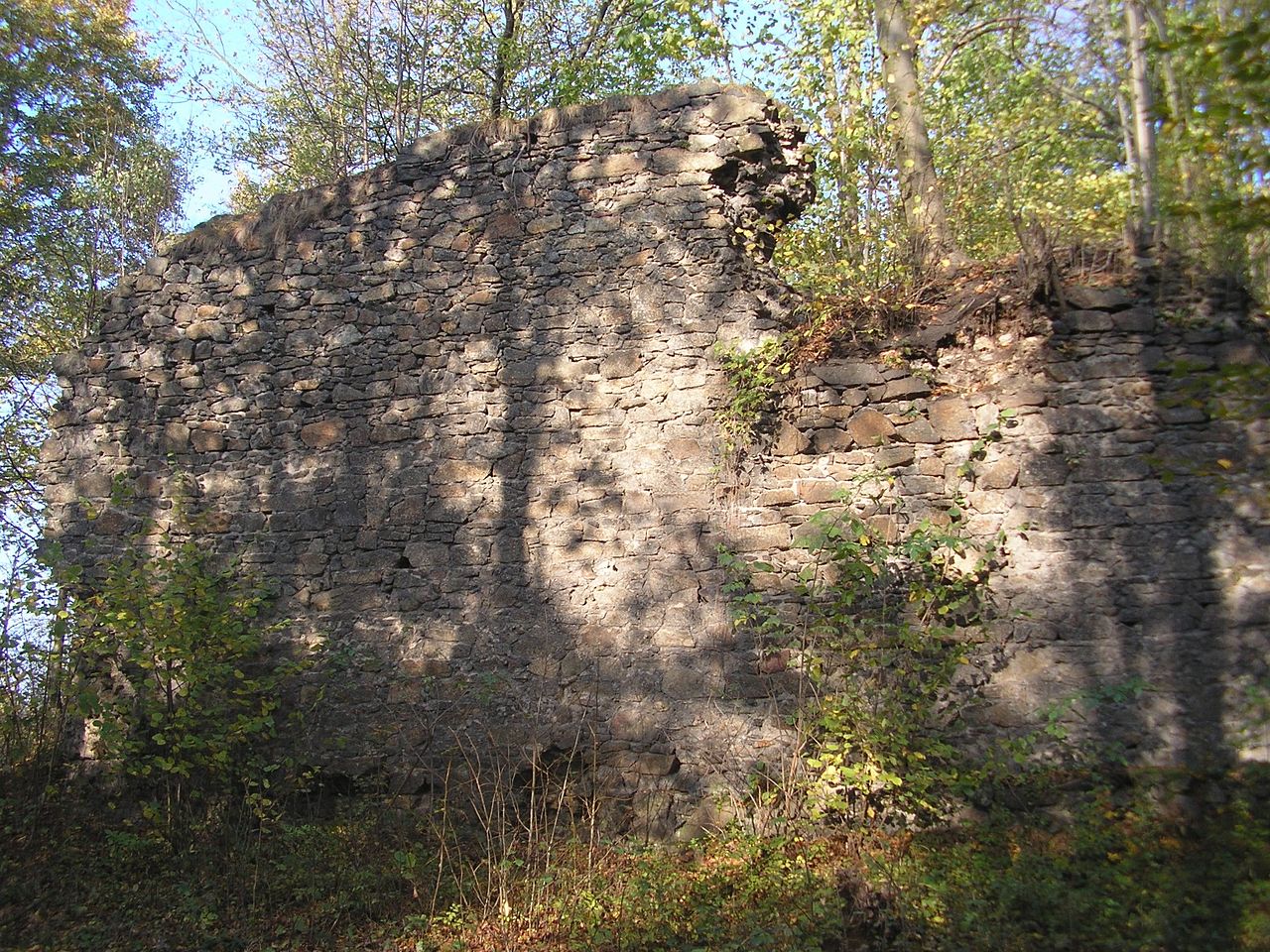 Ruiny zamku w Trzcińcu
